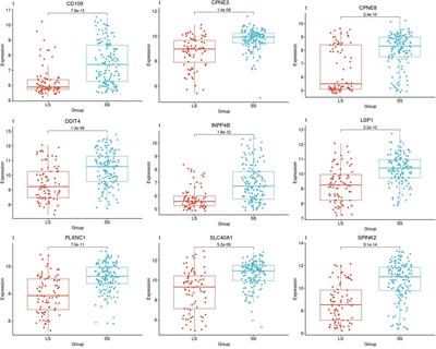 Investigation of distinct gene expression profile patterns that can improve the classification of intermediate-risk prognosis in AML patients